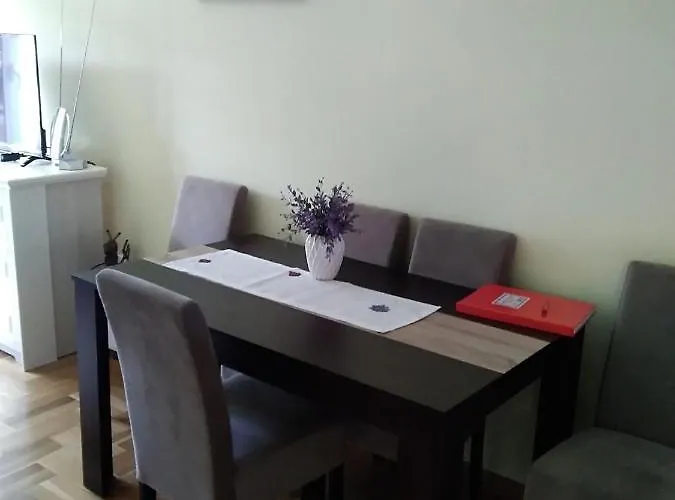 Apartman Vita 公寓 Vrnjačka Banja